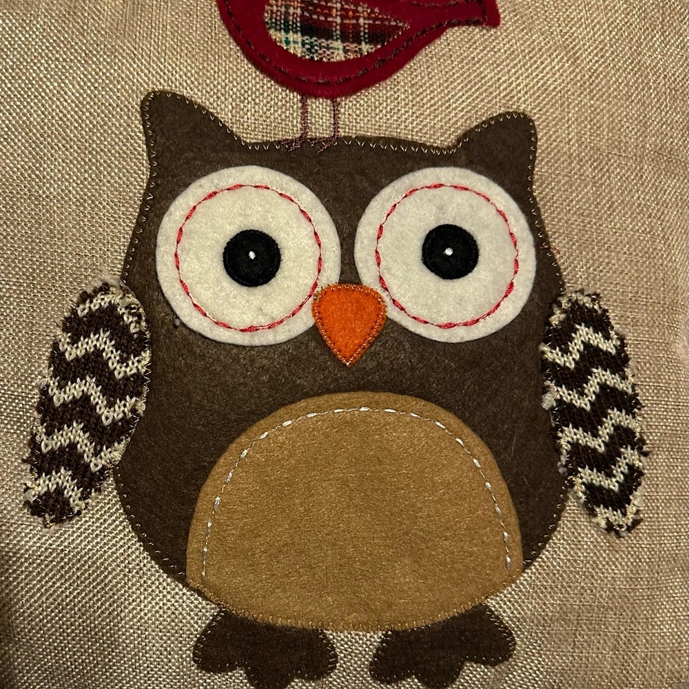 Vintage Square Owl and Bird Decorative Accent Pillow Cottage Core Earth Tones - Picture 6 of 8